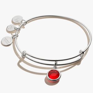 Alex and Ani Garnet Bangle | January Birthstone